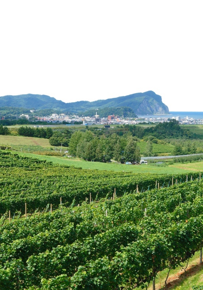 北海道 余市町