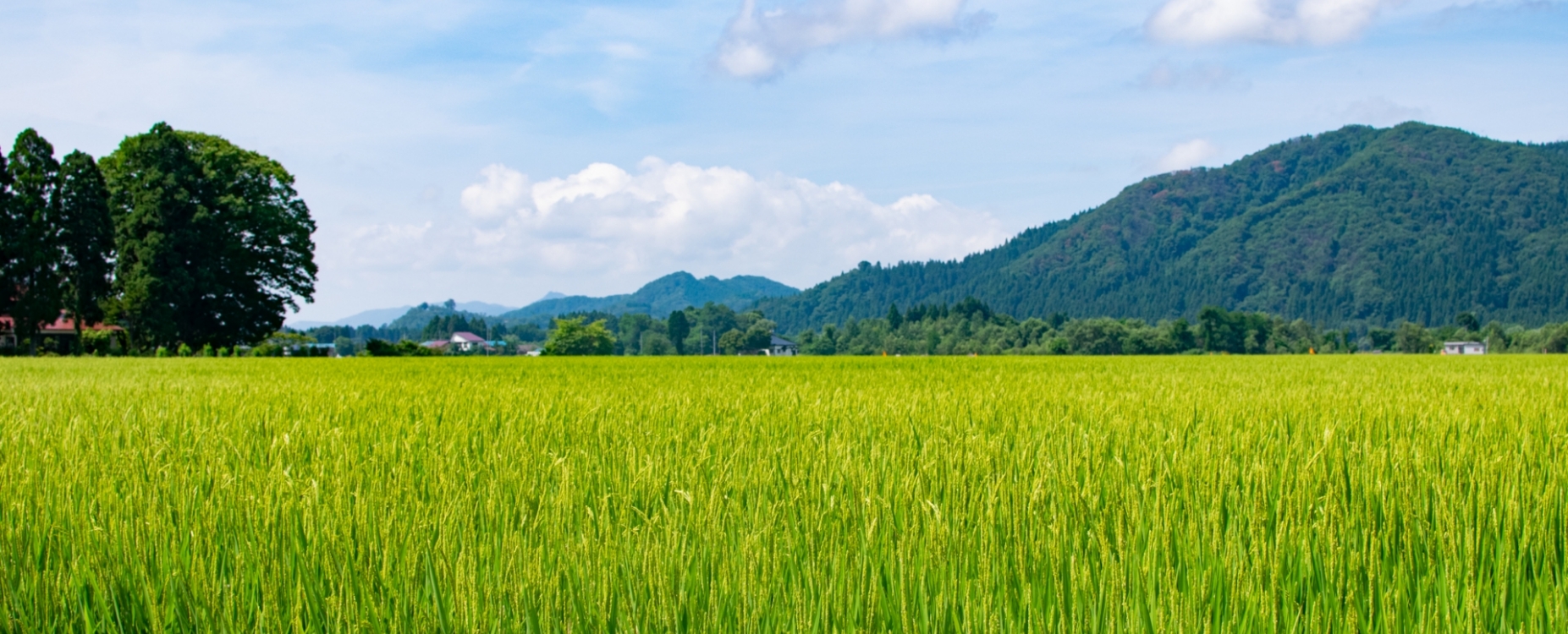 秋田県 三種町・大潟村