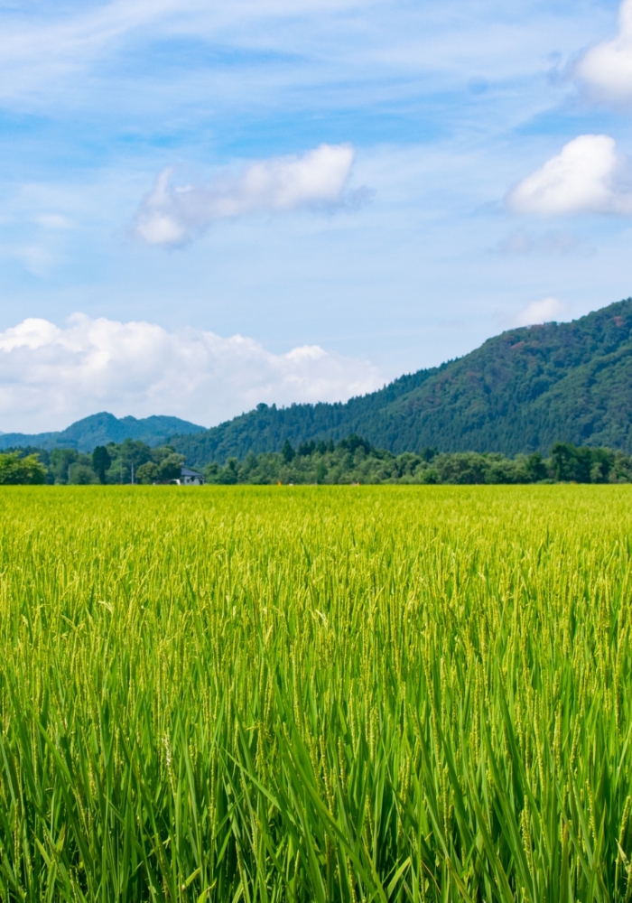 秋田県 三種町・大潟村