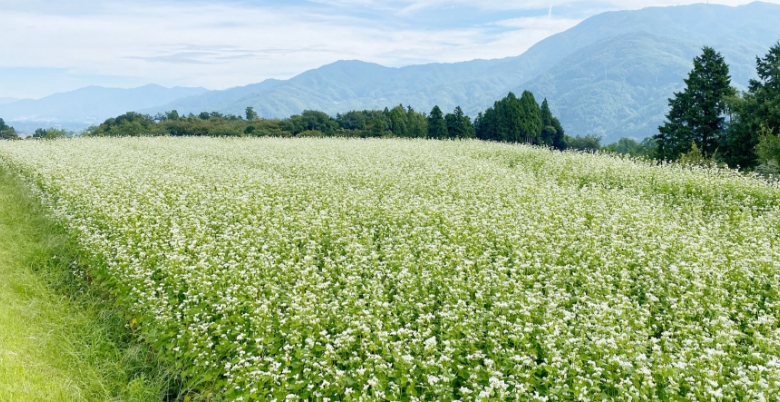 長野県